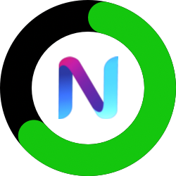 NetZer0 logo